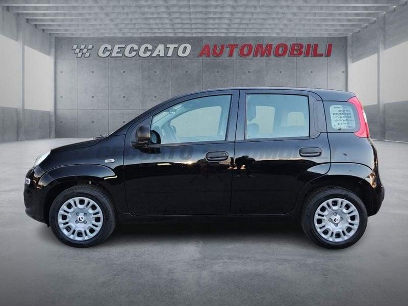 FIAT Panda Panda 1.0 70cv Hybrid Icon