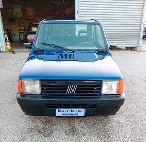 Fiat Panda 1100 i.e. cat Young