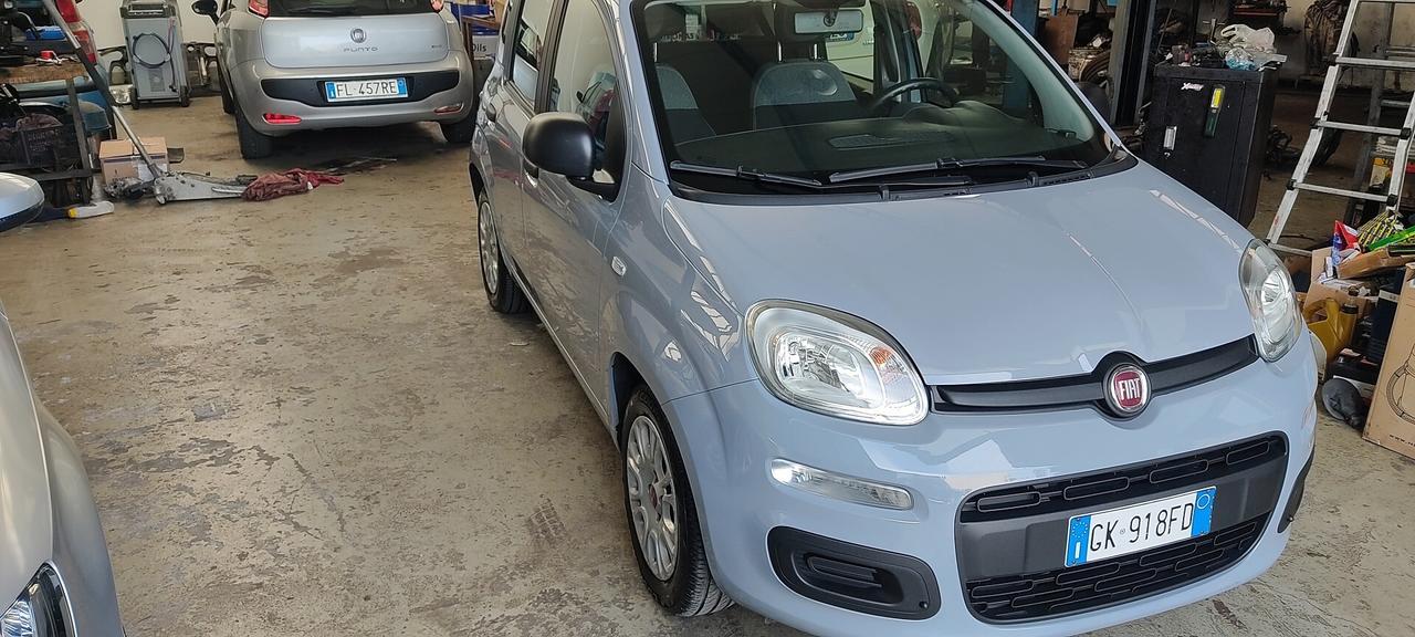 FIAT PANDA 1.0 HYBRID 2022