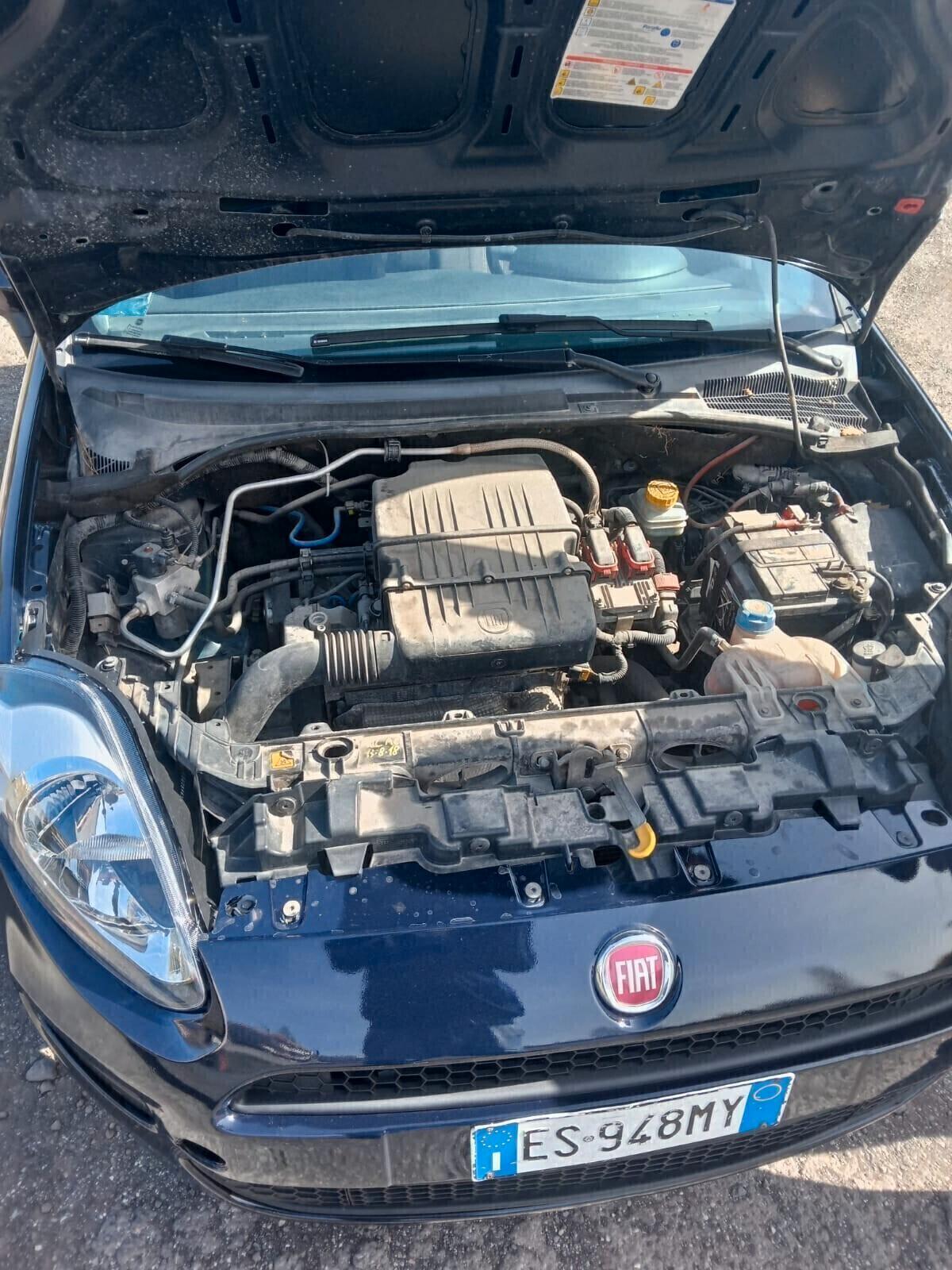 Fiat Punto 1.4 8V 5 porte Natural Power Lounge