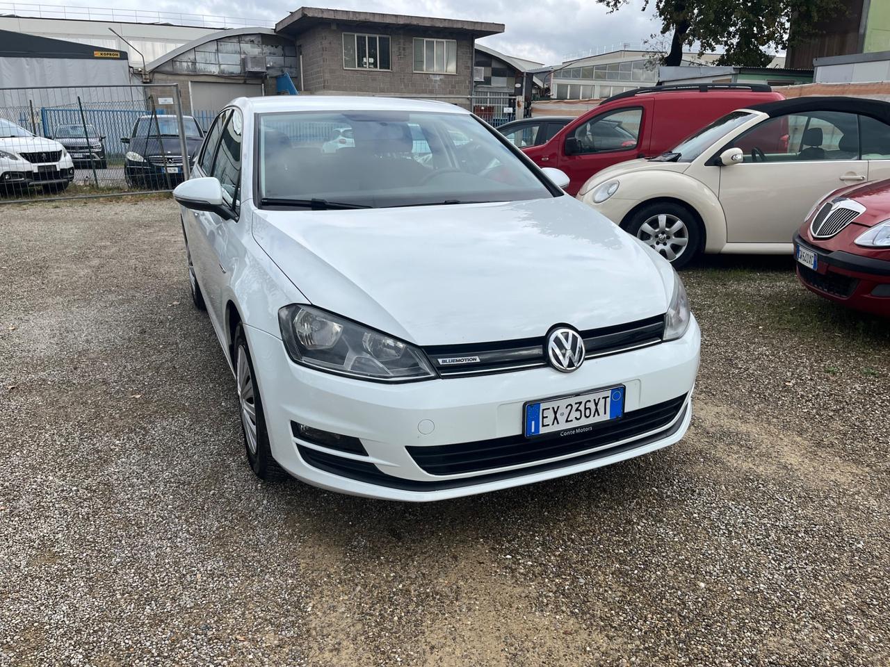 Volkswagen Golf Business 1.4 TGI 5p. Comfortline BlueMotion
