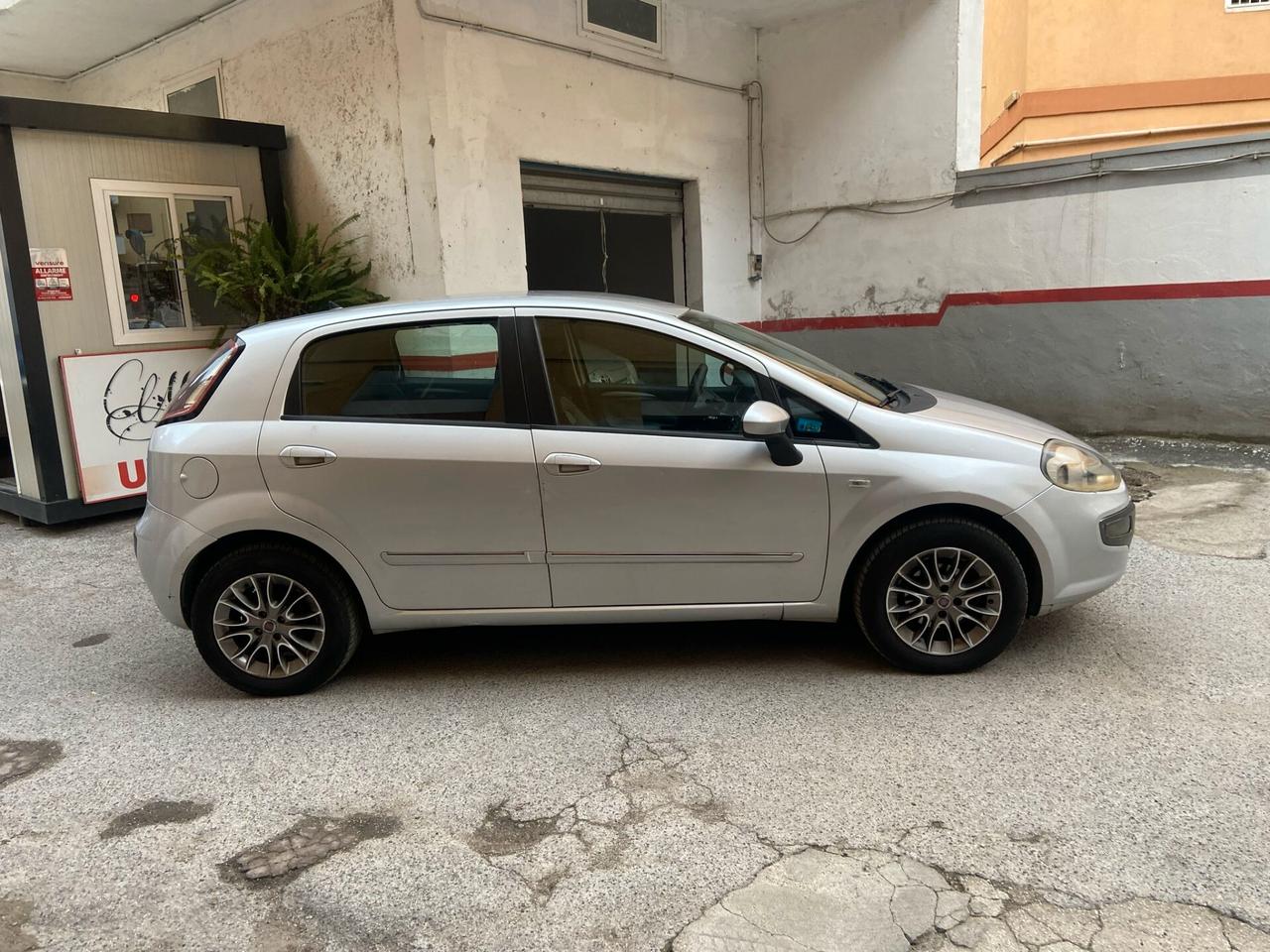 Fiat Punto Evo Punto Evo 1.2 5 porte Dynamic