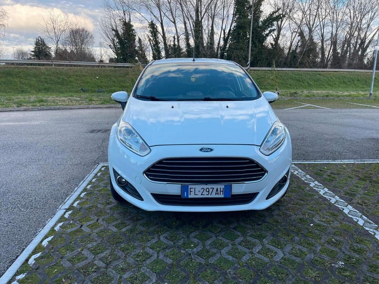 Ford Fiesta 1.5 TDCi 75CV 5 porte Black & White Edition