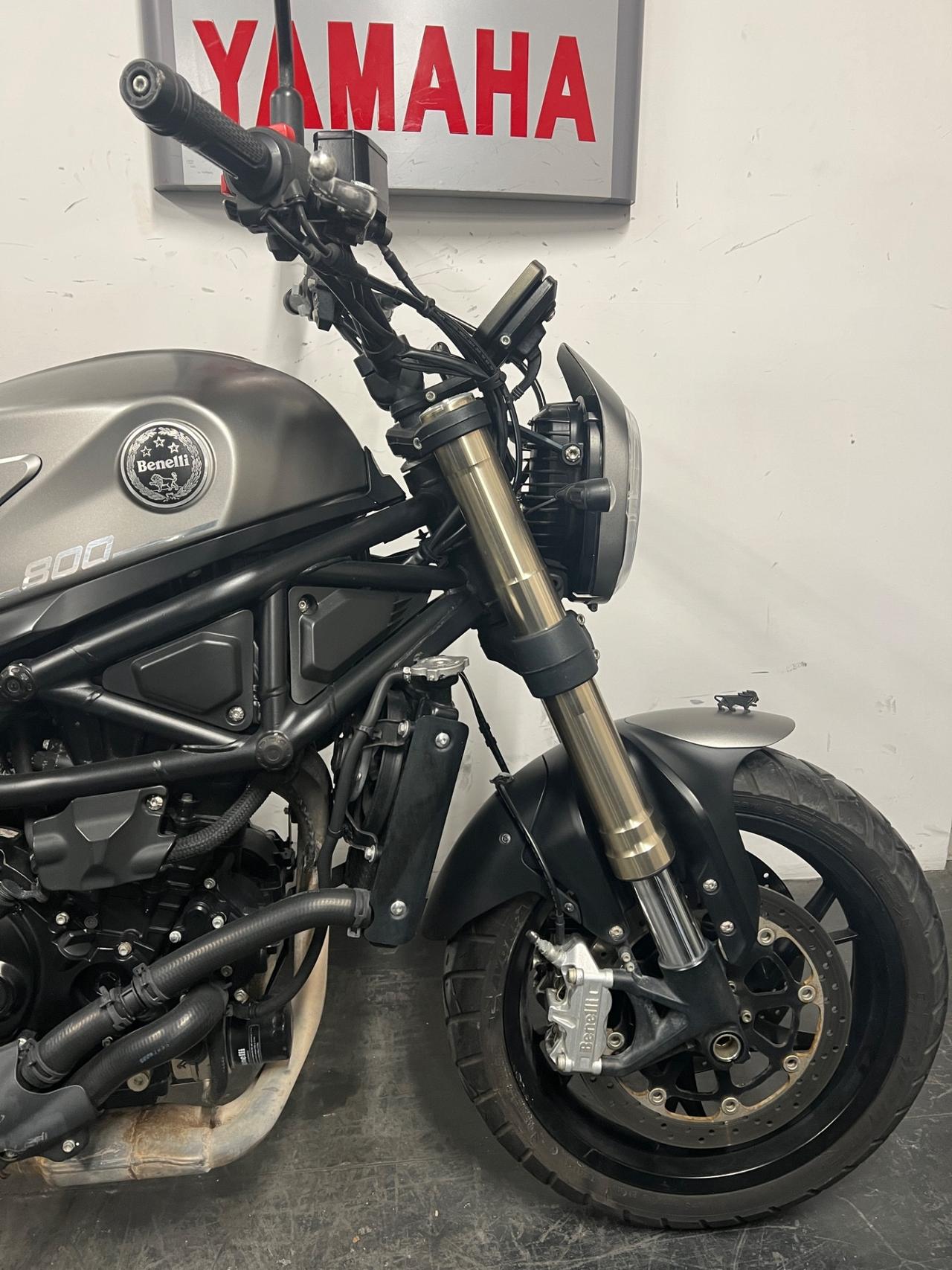 Benelli Leoncino 800