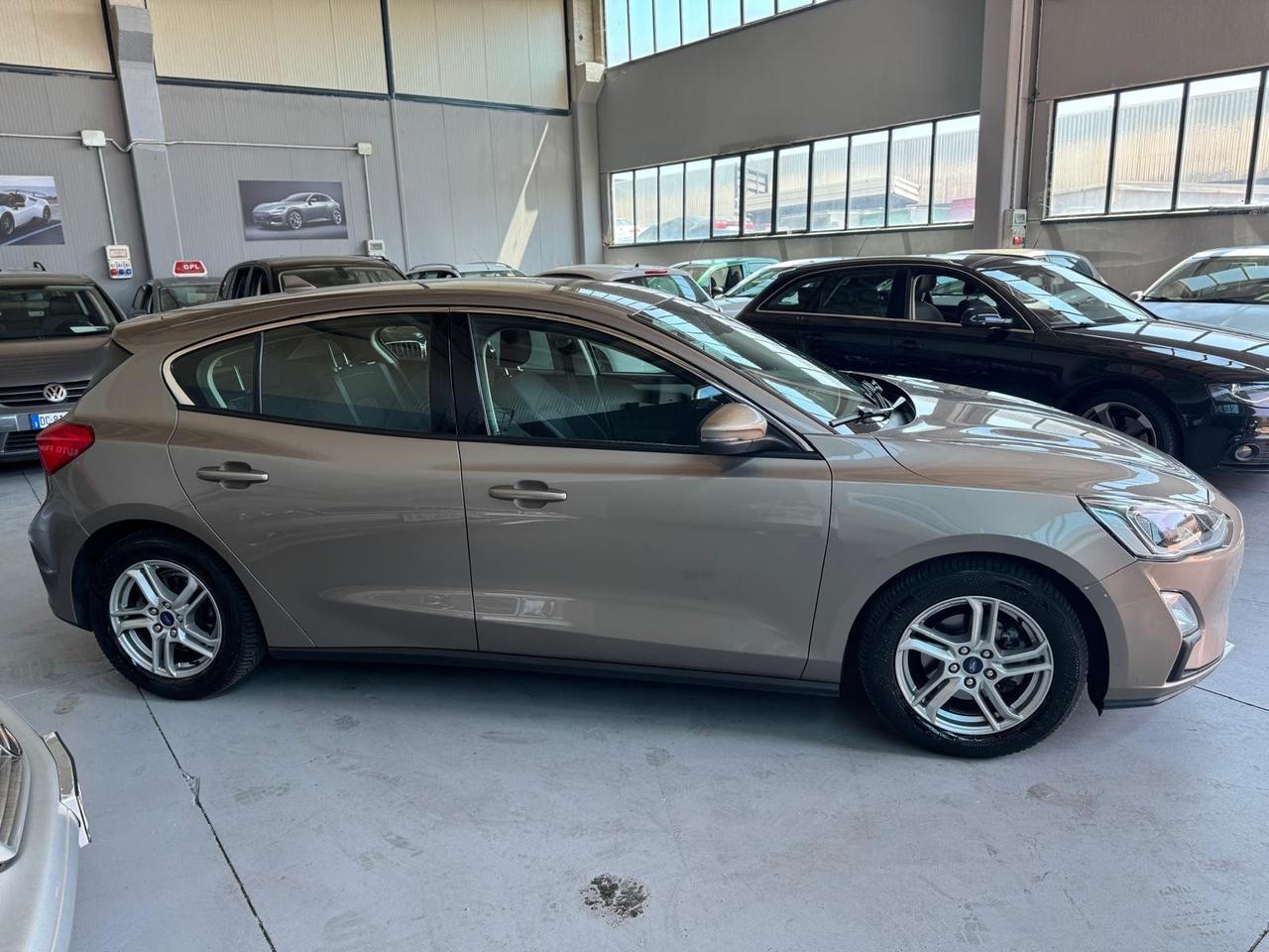 Ford Focus 1.5 EcoBlue 120 CV 5p. Business