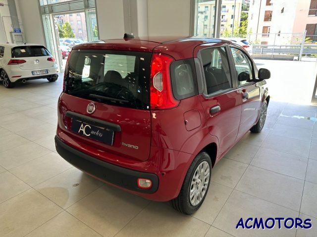 FIAT Panda 1.0 FireFly S&S Hybrid Pandina