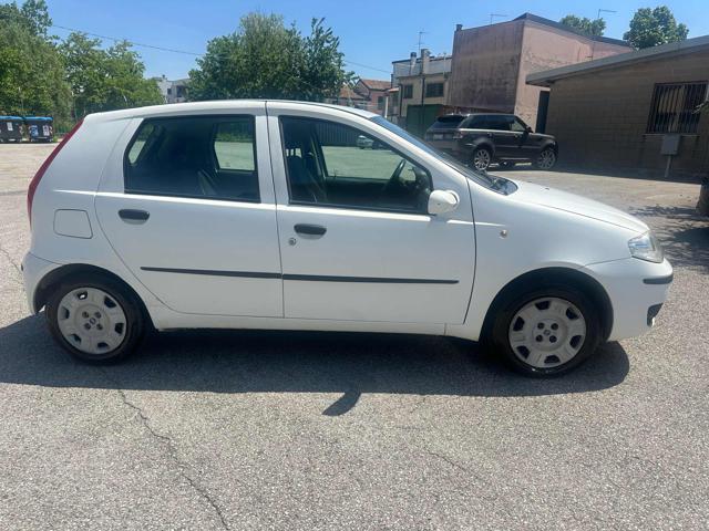 FIAT Punto 1.2 5 porte Cult