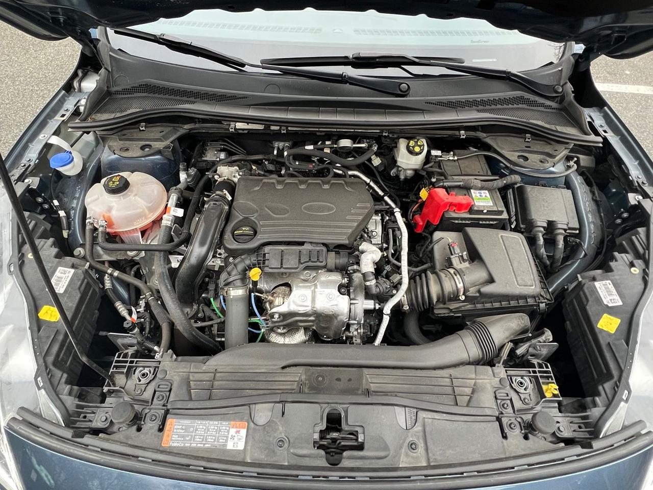 Ford Kuga Titanium 1.5 EcoBlue #9850