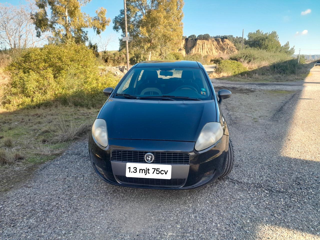 Fiat Grande Punto 1.3 MJT 75 CV 5 porte Dynamic