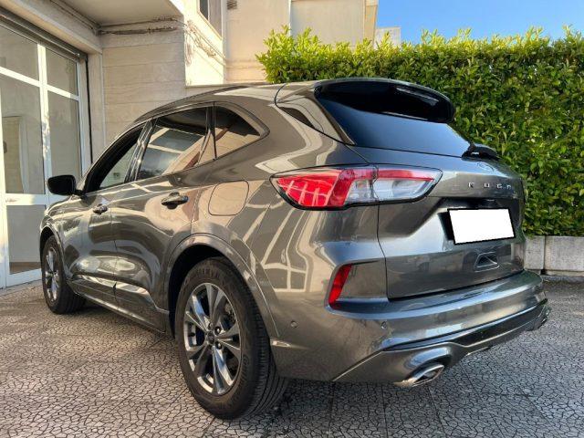 FORD Kuga 1.5 EcoBlue 120 CV 2WD ST-Line
