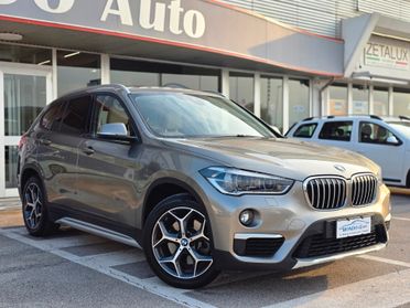Bmw X1 xDrive 25d Msport 231cv