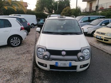 Fiat Panda 1.3 MJT 16V DPF 4x4 Climbing