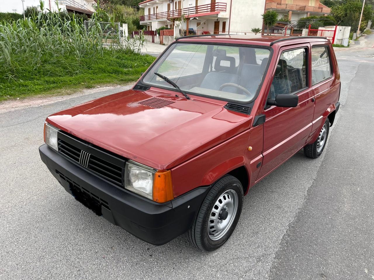 Fiat Panda 1100 i.e. cat Young