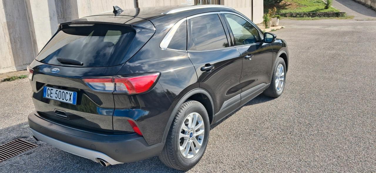 Ford Kuga 1.5 EcoBlue 120 CV 2WD Titanium