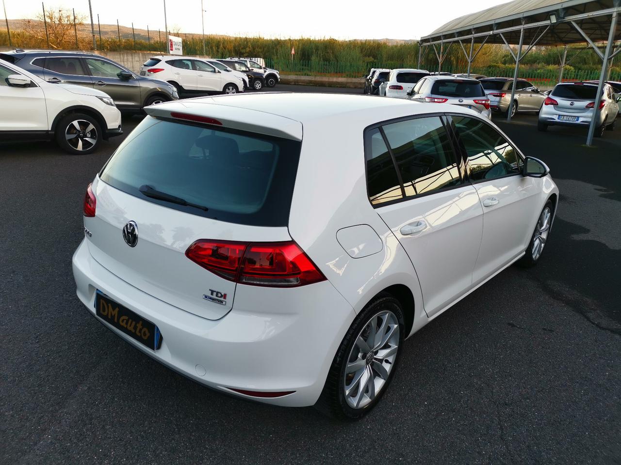 Volkswagen Golf 1.6 TDI 110 CV DSG 5p. Sport Edition BlueMotion Tech.