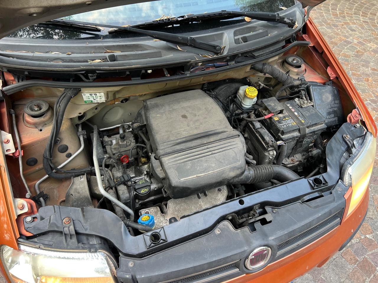 Fiat Panda 1.2 benzina Dynamic