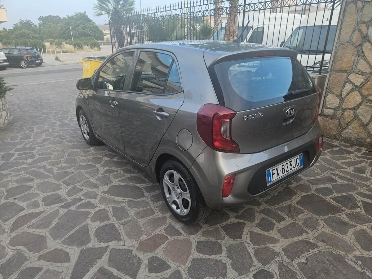 Kia Picanto 1.0 12V EcoGPL 5 porte Cool