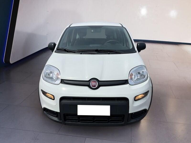 FIAT Panda My23 1.0 70cv Hybrid Panda
