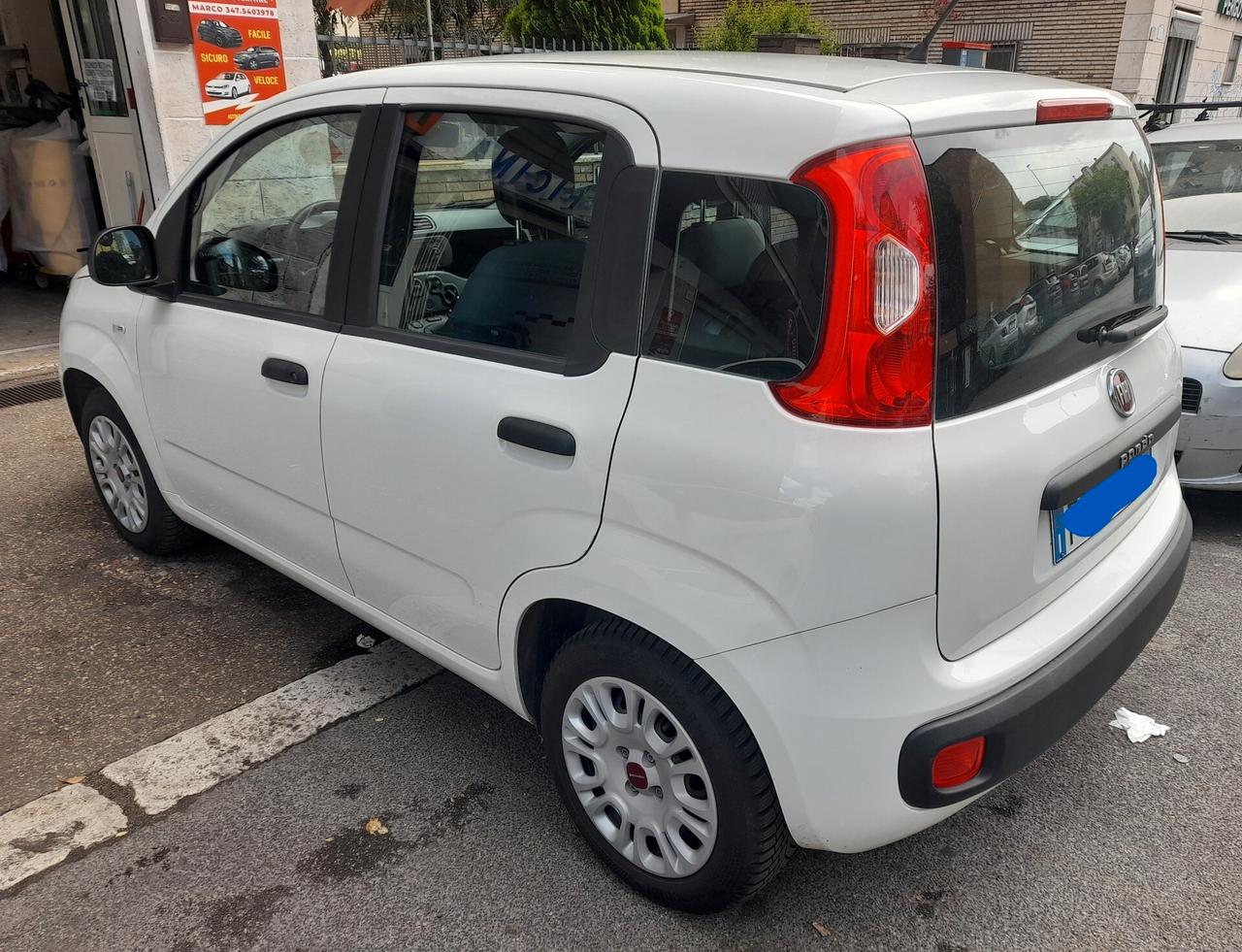 Fiat panda 1.2 CV69 euro6 Anno 2019 neopatentati permuta