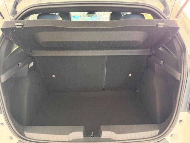 FIAT Grande Panda 1.2 Hybrid 110 CV S&S Icon tua da ?239,00 mensili