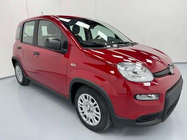 Fiat Panda *PANDINA* 1.0 HYBRID 69CV*CRUISE+SENSORI*ONLYPROMO