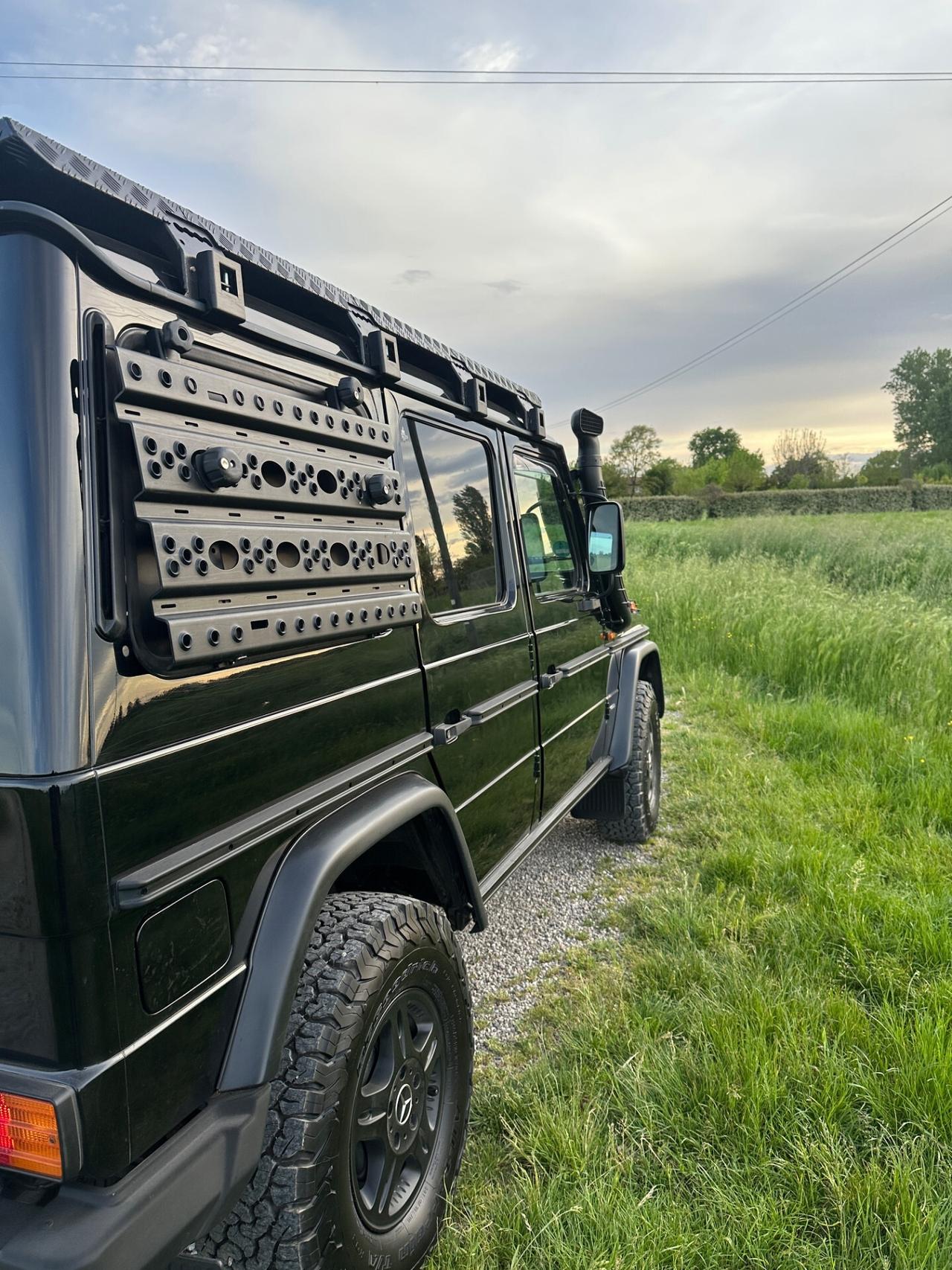 Mercedes-benz G 300 Professional