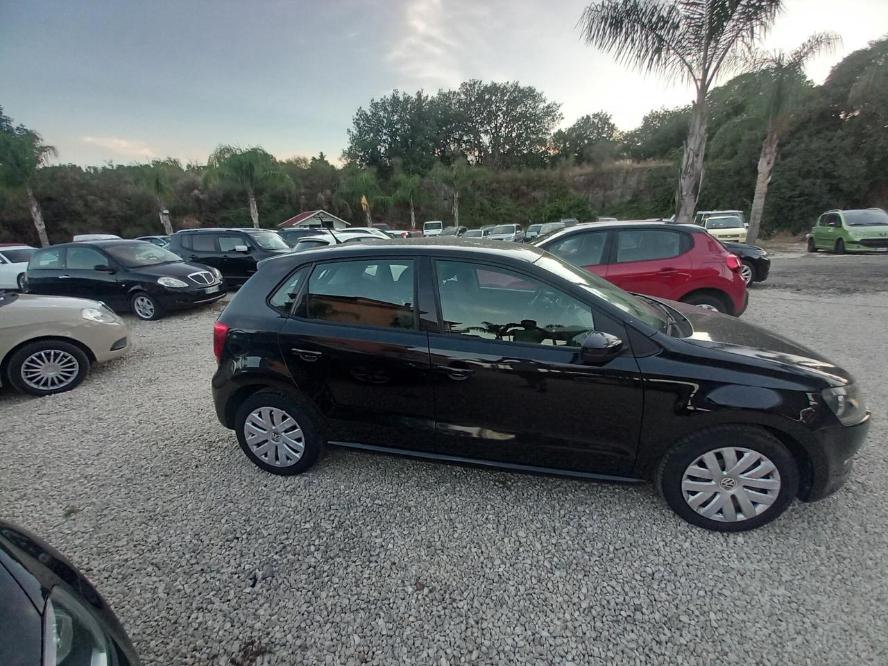 Volkswagen Polo 1.6 TDI DPF 5 porte Comfortline