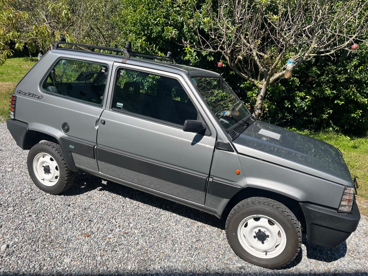 Fiat Panda 1000 i.e. cat 4x4 Trekking