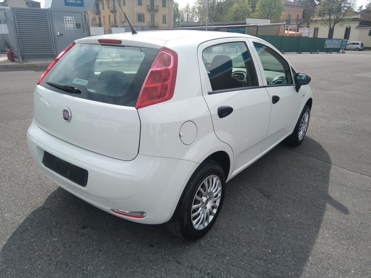 Fiat Punto 1.4 8V 77cv 5 porte Natural Power Street x neopatentati