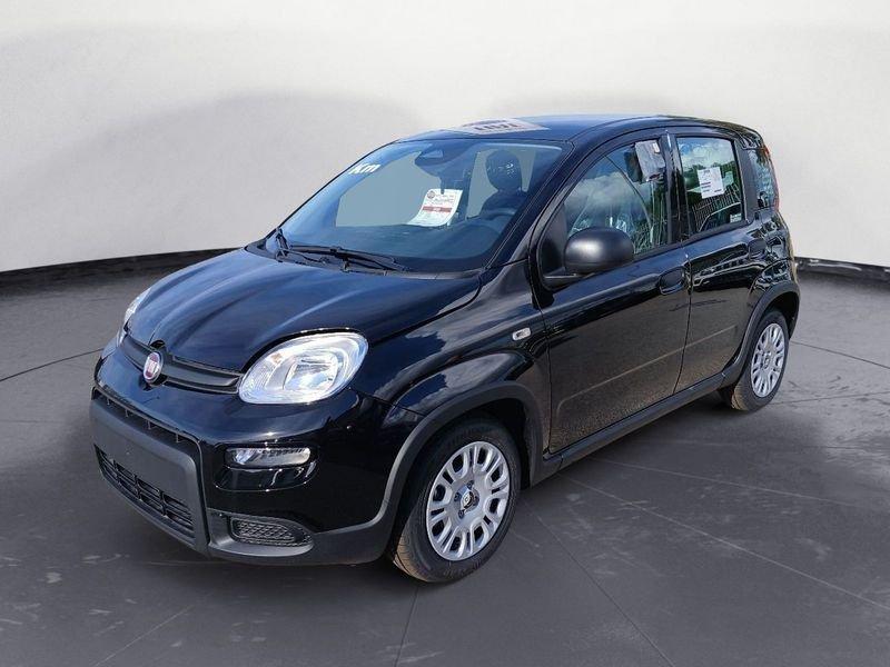 FIAT Panda NEW 1.0 70cv Hybrid Panda