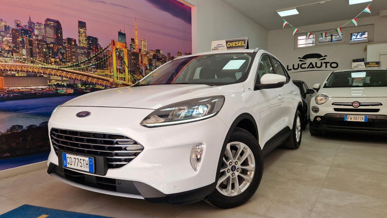 Ford Kuga 1.5 EcoBlue 120 CV aut. 2WD Titanium Business