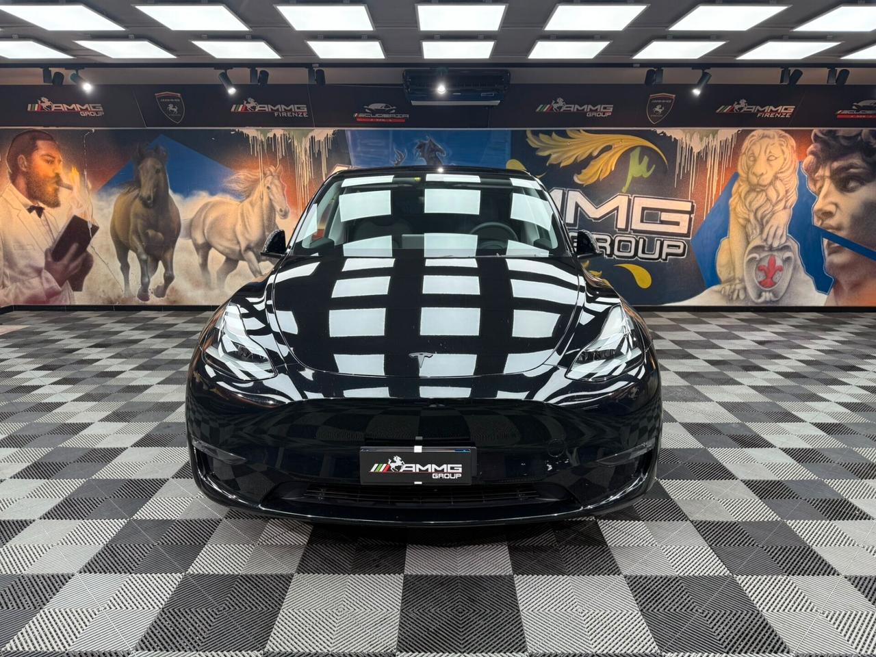 Tesla Model Y AWD Performance (231)