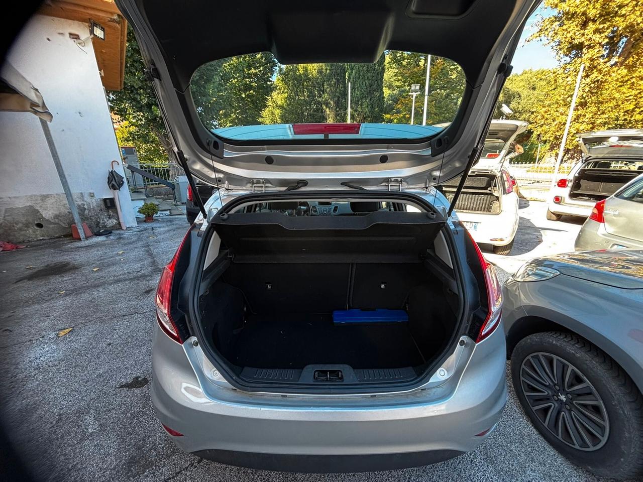 Ford Fiesta 1.4 5 porte Bz.- GPL Black & White Edition