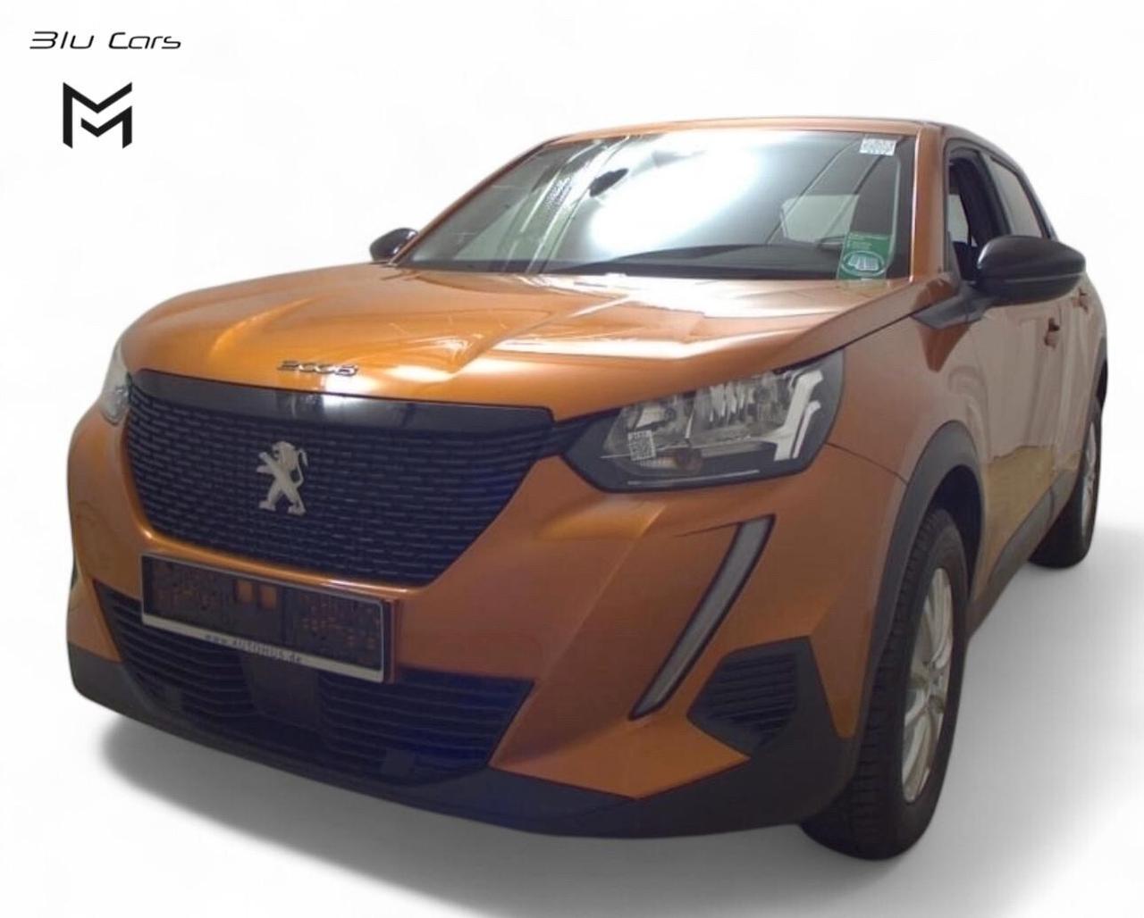 Peugeot 2008 BlueHDi 110 S&S Active