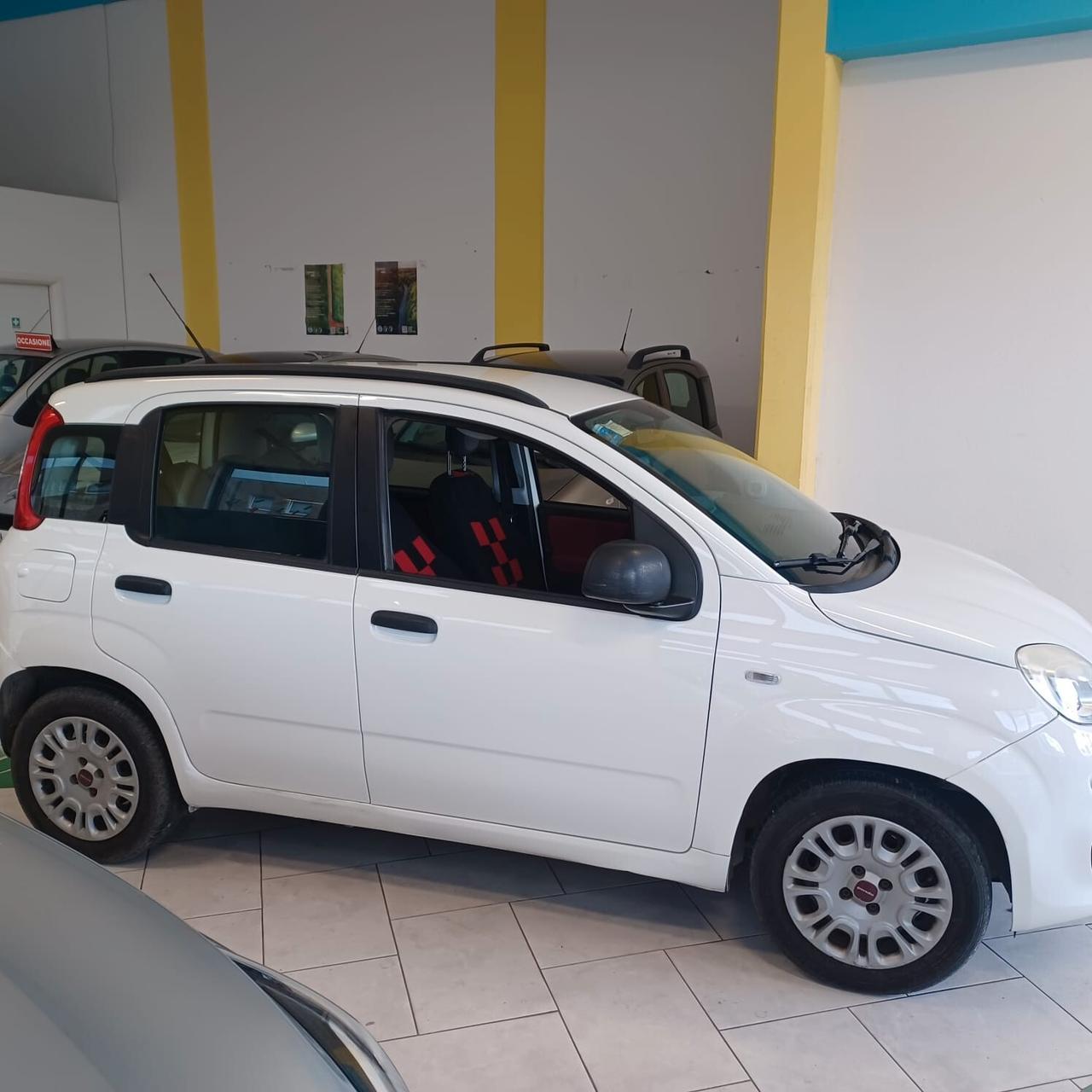 GARANZIA 12 MESI FIAT PANDA 1.2