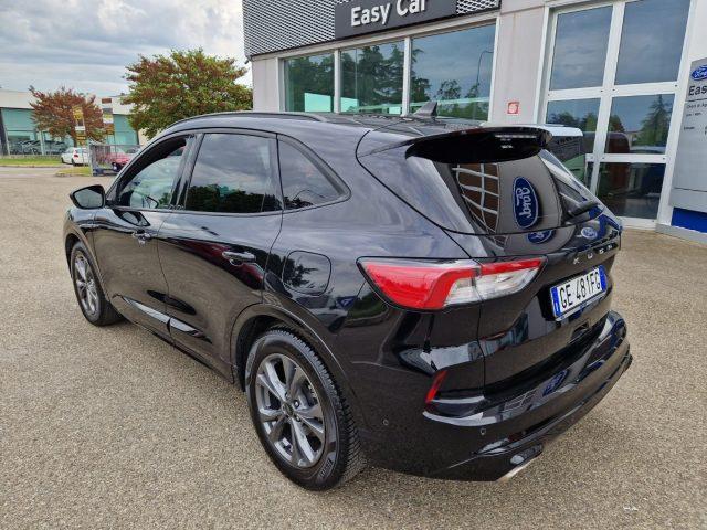 FORD Kuga 1.5 EcoBlue 120 CV ST-Line X