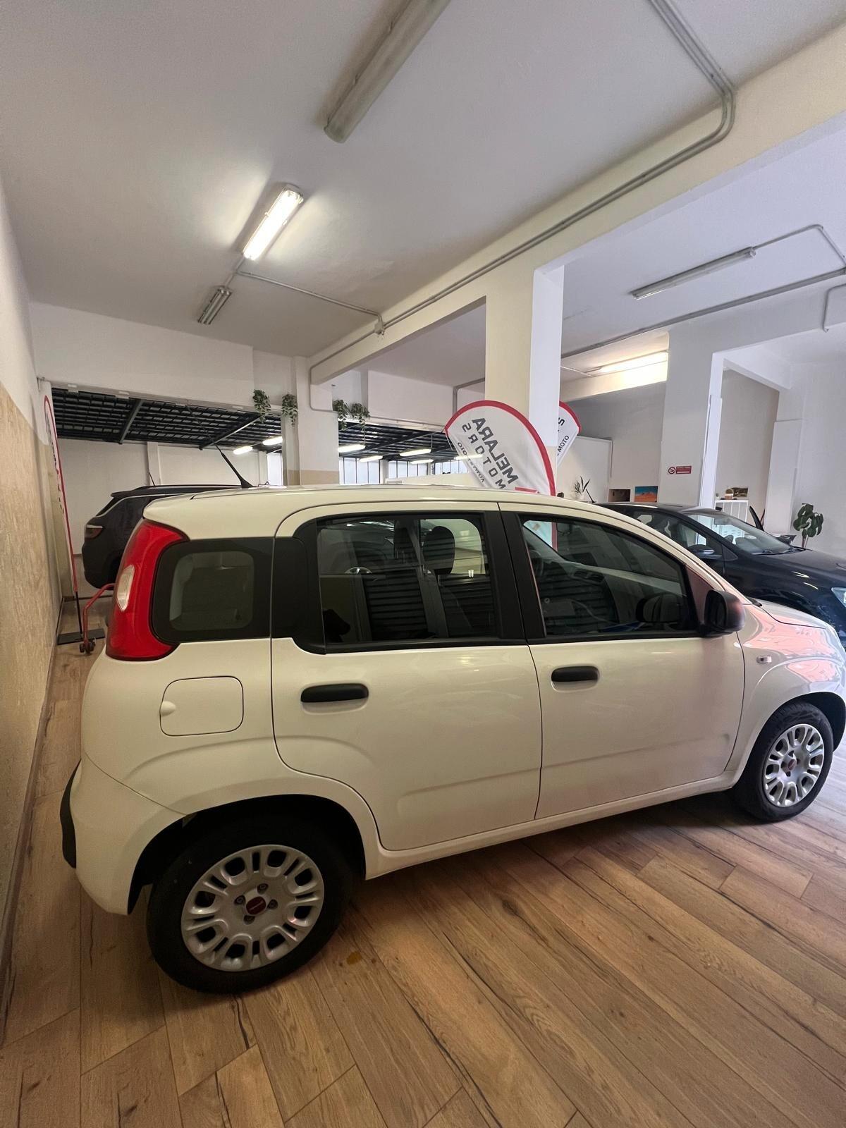 Fiat Panda 1.2 Easy