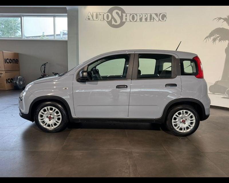 FIAT Panda 3ª serie 1.0 FireFly S&S Hybrid City Cross