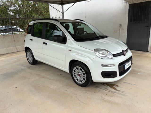 FIAT Panda 1.2 Easy EURO 6 5 POSTI OK NEOPATENTATI