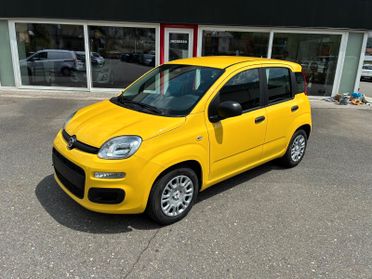 Fiat Panda Pandina 1.0 FireFly 65 CV Hybrid Pop