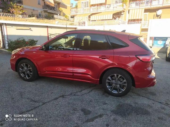 Ford Kuga 1.5 EcoBlue 120 CV 2WD ST-Line - OFFERTA DEL MESE