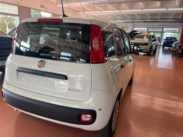 FIAT Pandina 1.0 FireFly 65 CV Hybrid Icon