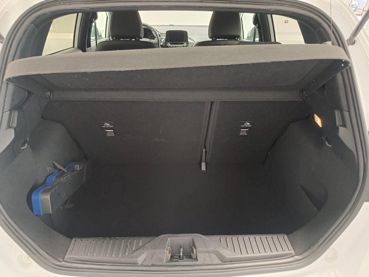 Ford Fiesta 1.0 Ecoboost 100 CV 5 porte ST-Line