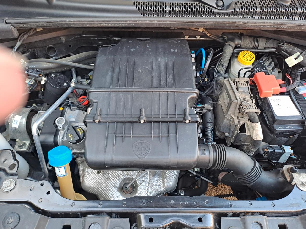 Lancia Ypsilon 1.2 69 CV 5 porte Gold IMP GPL