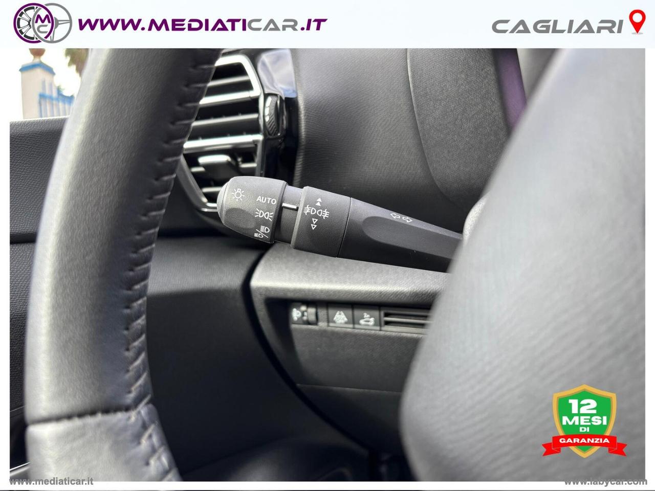 CITROEN C4 X BlueHDI 130 S&S EAT8 Max