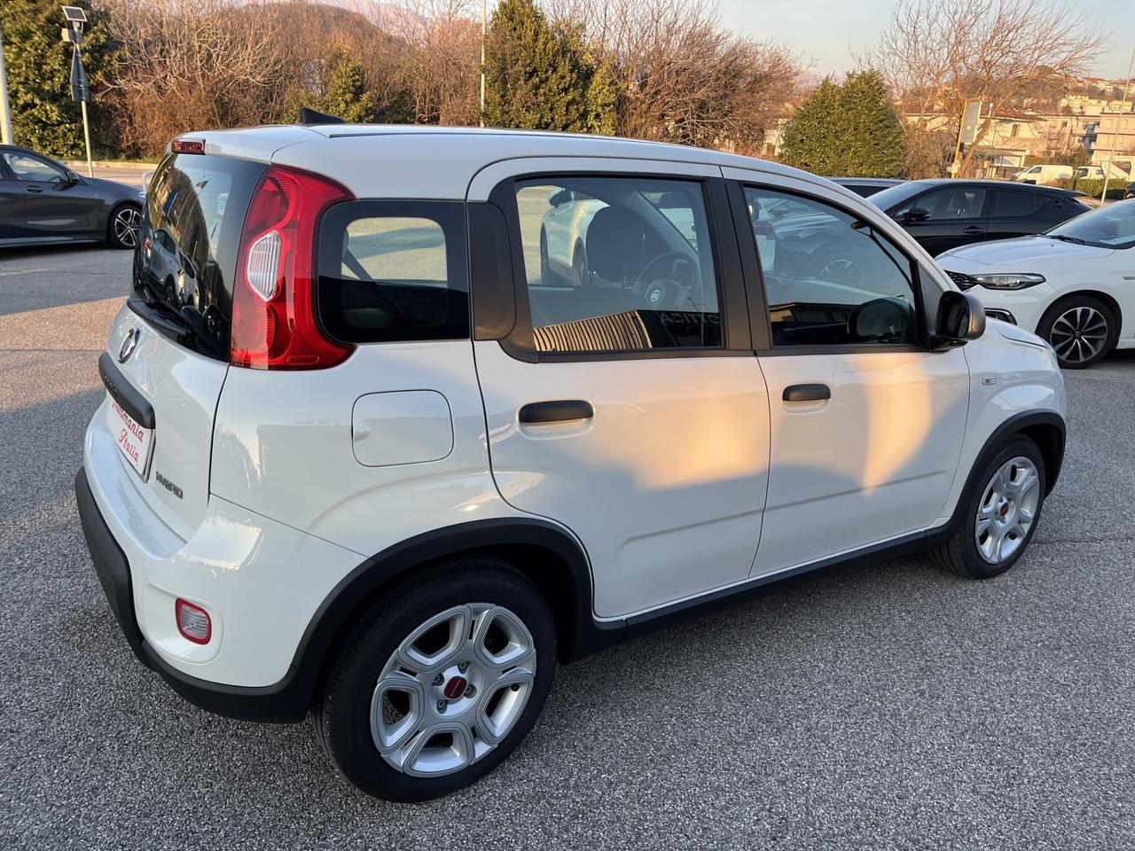 FIAT PANDA 1000 CC 70 CV FIREFLY