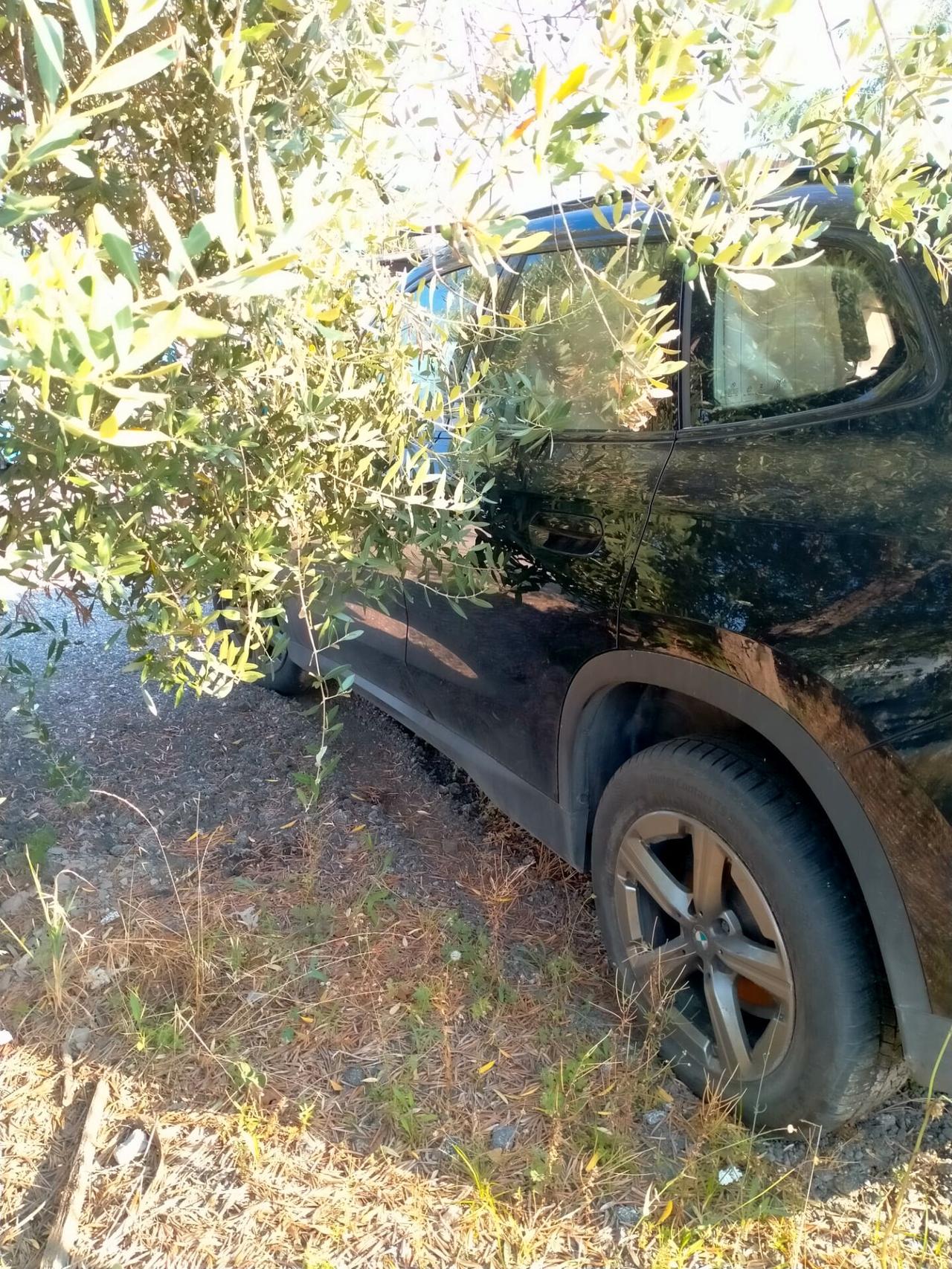 Bmw X1 sDrive 18i xLine