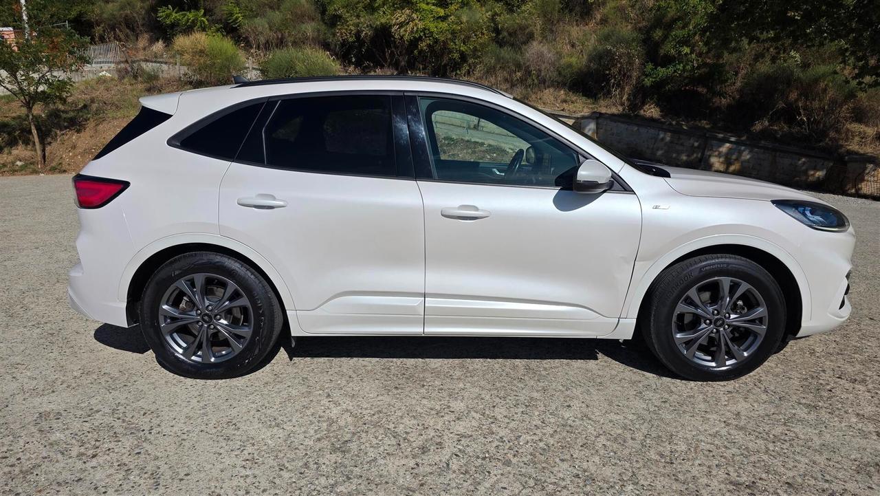 Ford Kuga 1.5 EcoBlue 120 CV aut. 2WD ST-Line X