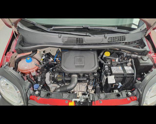 FIAT New Panda 1.0 firefly hybrid Cross s&s 70cv 5p.ti