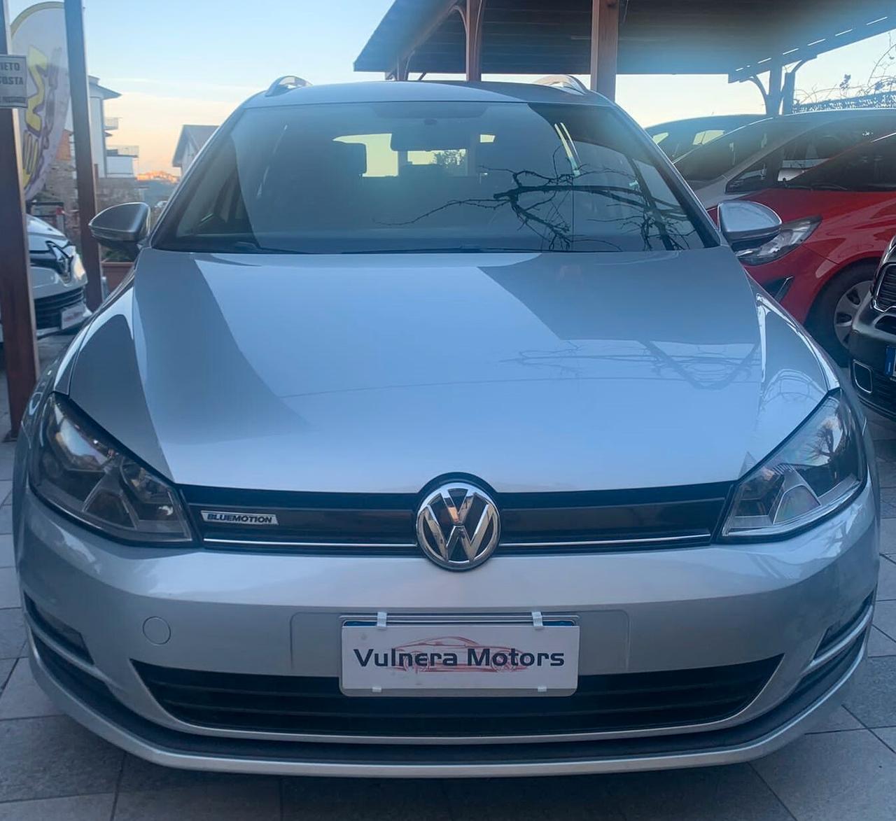 Volkswagen Golf 1.4 TGI 5p. Executive BlueMotion